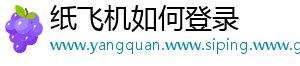 纸飞机如何登录